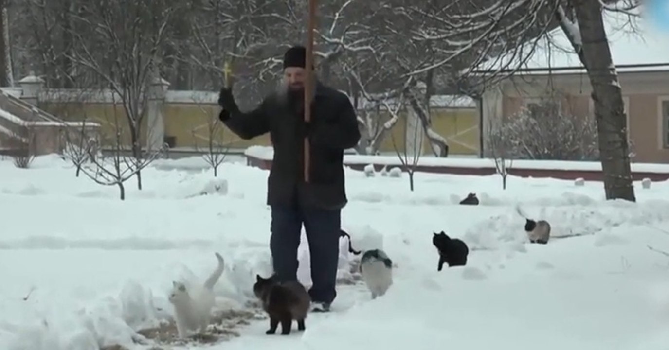 Russischer Mönch Sergey Kuzmich hat ein Ritual. Er segnet streunende Katzen!