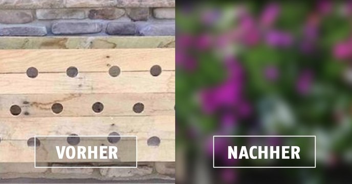 Ein Blumenbeet unkompliziert mit einem Holzkasten anlegen