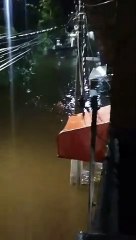 Qualquer inundação para um casal apaixonado é uma espécie de Lagoa Azul