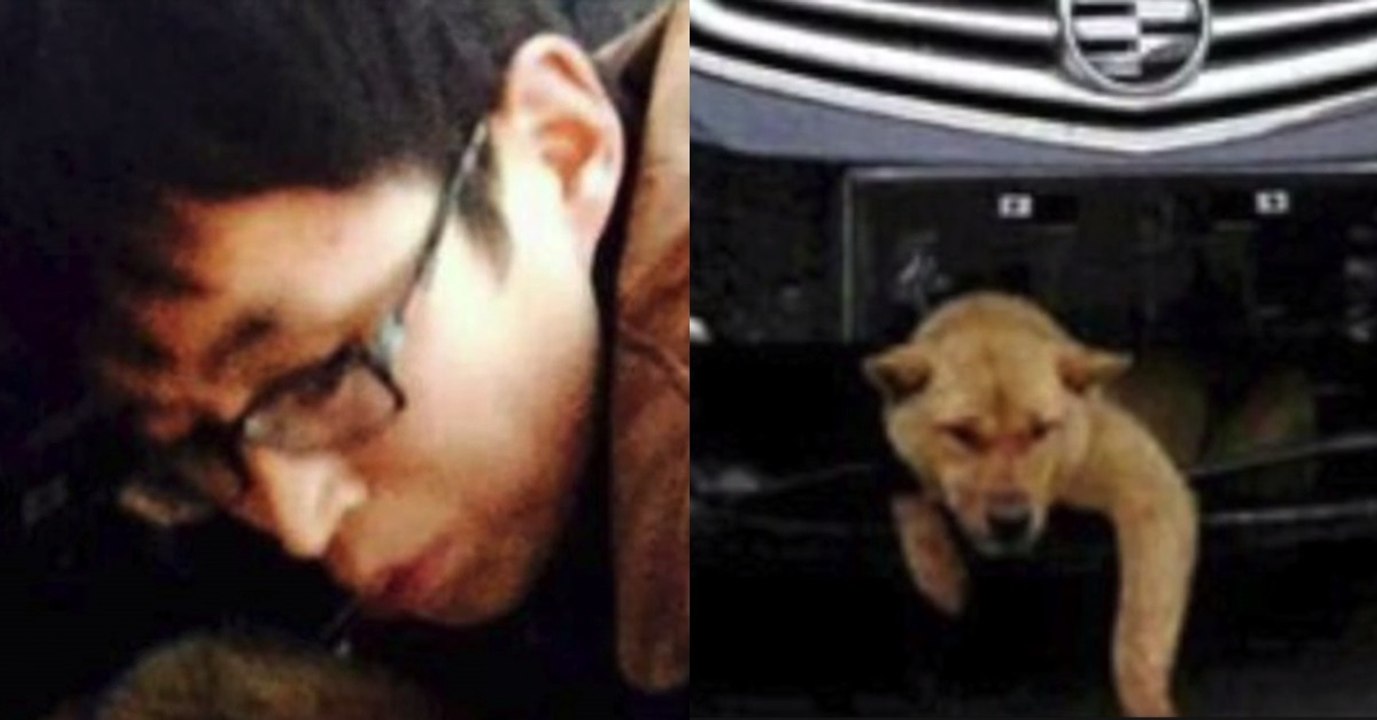 Mann überfährt Hund: Das Ende der Geschichte ist unglaublich!