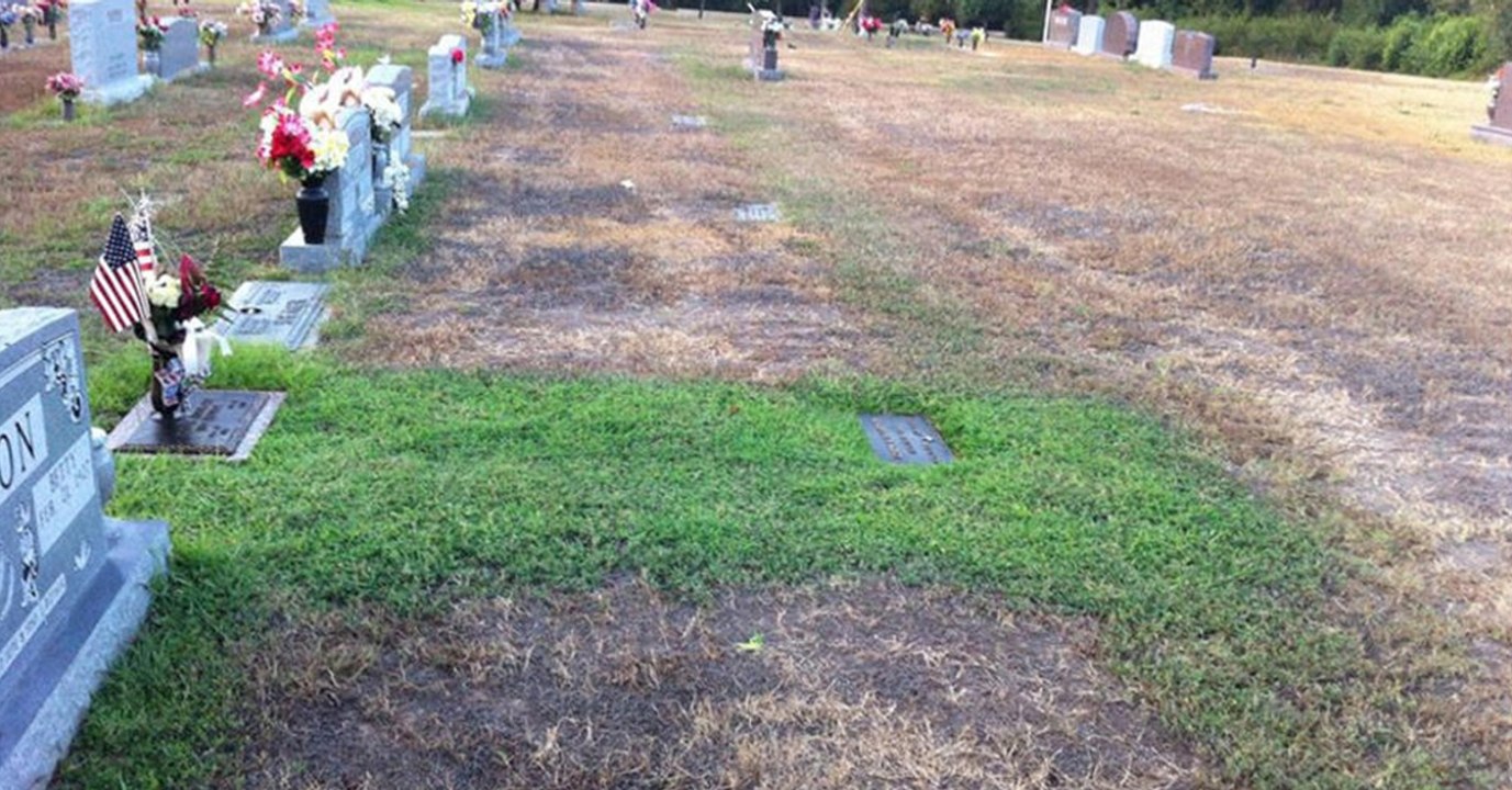 Eltern wundern sich über das immer grüne Grab ihres Sohnes. Dann kommen sie dahinter!