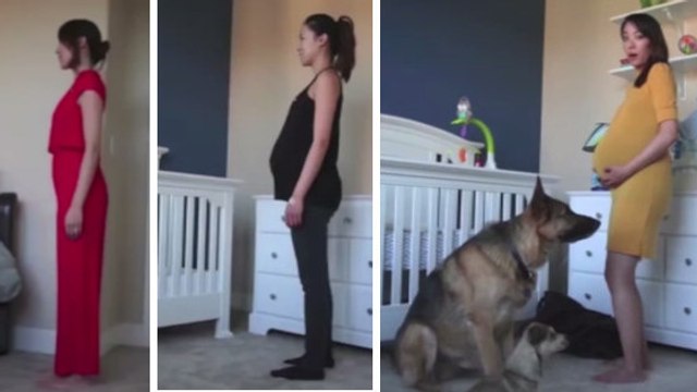 Ein Mann macht jeden Tag ein Bild von seiner schwangeren Frau