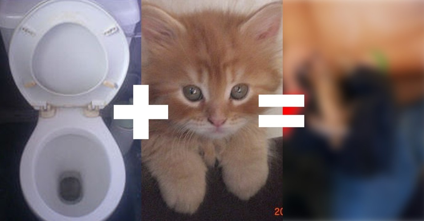 Kätzchen im Klo heruntergespült und von der Feuerwehr gerettet