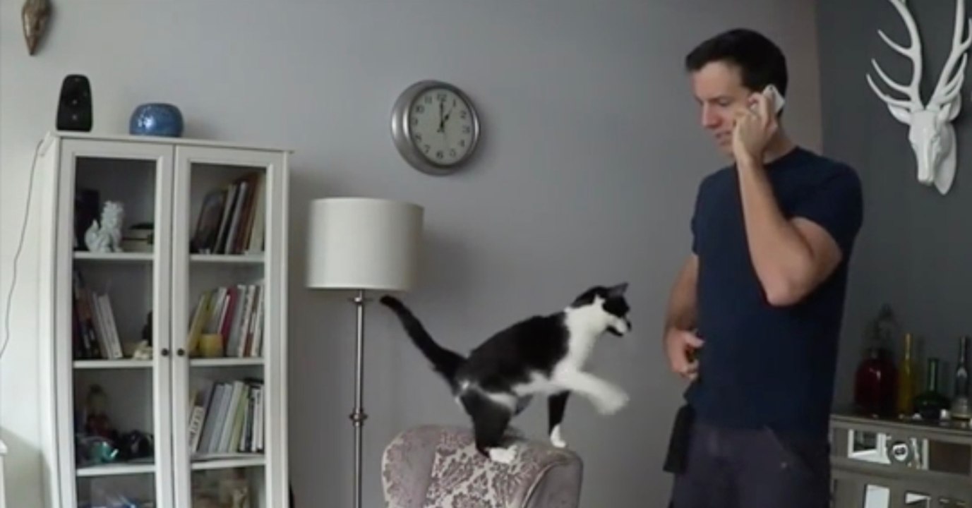 Sie will etwas ganz bestimmtes von ihrem herrchen