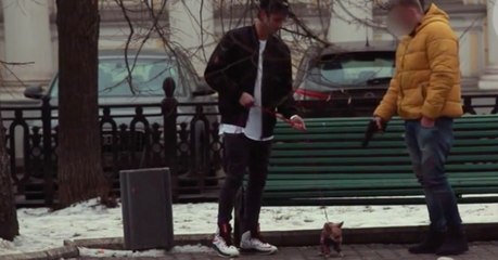 Für ein bißchen Geld soll er einen Hund erschießen! Seine Reaktion macht sprachlos