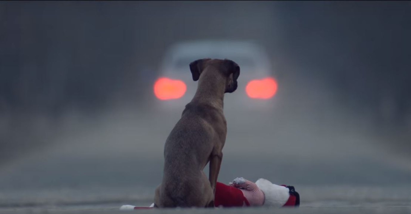 Kampagne gegen das Aussetzen von Tieren