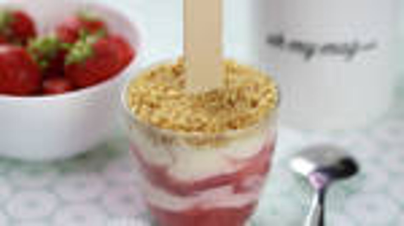 Joghurt-Eis selbst gemacht. Einfach und himmlisch lecker!