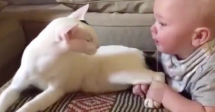 Eltern können ihren Augen nicht trauen, als das Baby die Katze packt