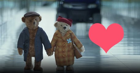 Kleine Bären auf der Heimreise für Weihnachten!