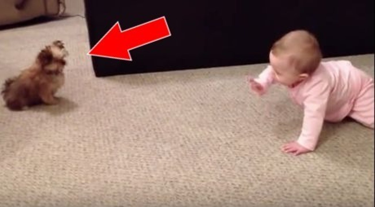 Das Baby versucht mit seinem Hund zu sprechen!