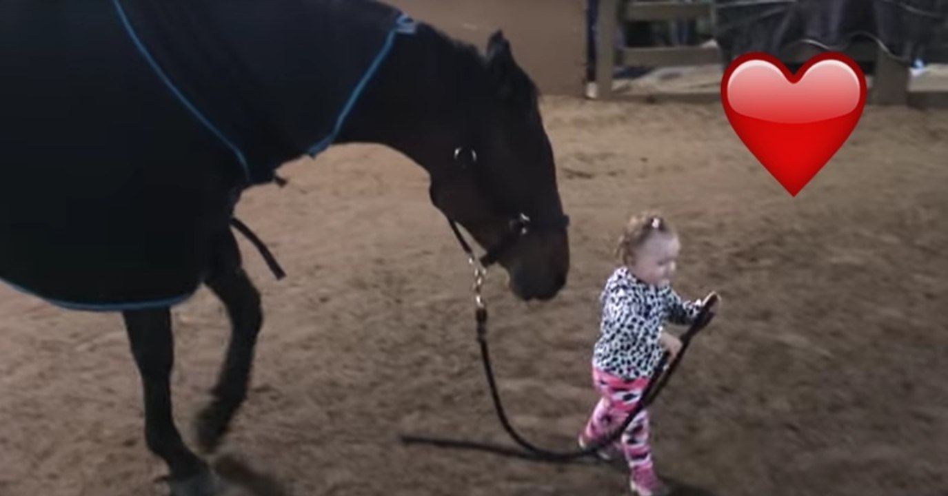 Das Pferd lässt sich geduldig von dem kleinen Mädchen führen!