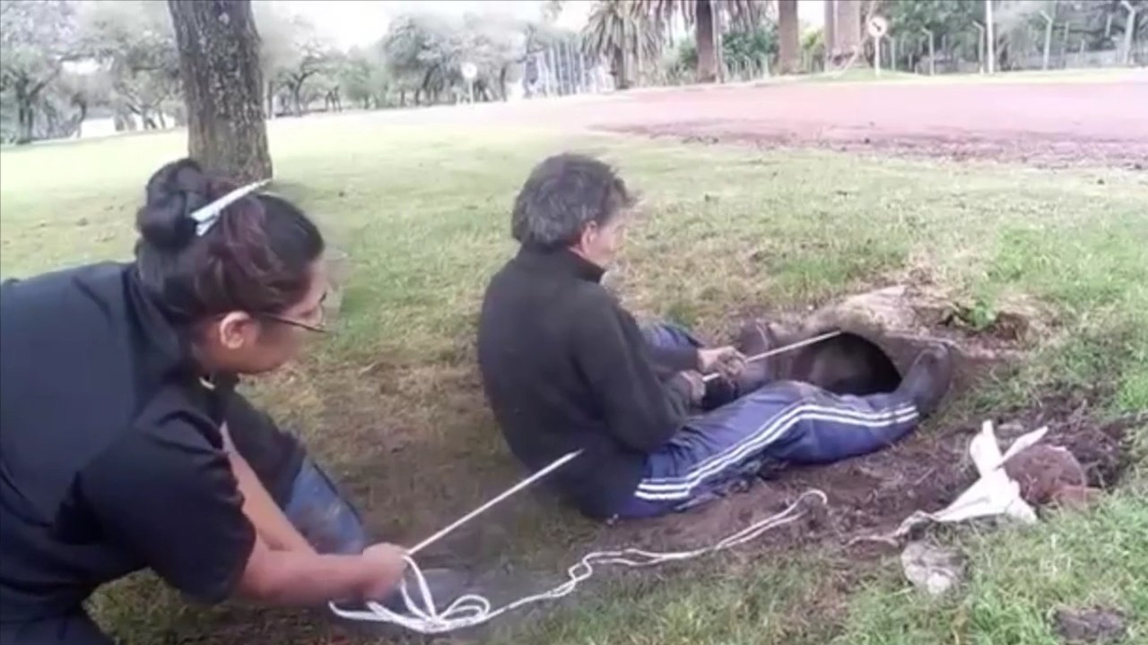 Rettungsaktion: Unfassbar, was da aus der Röhre kommt