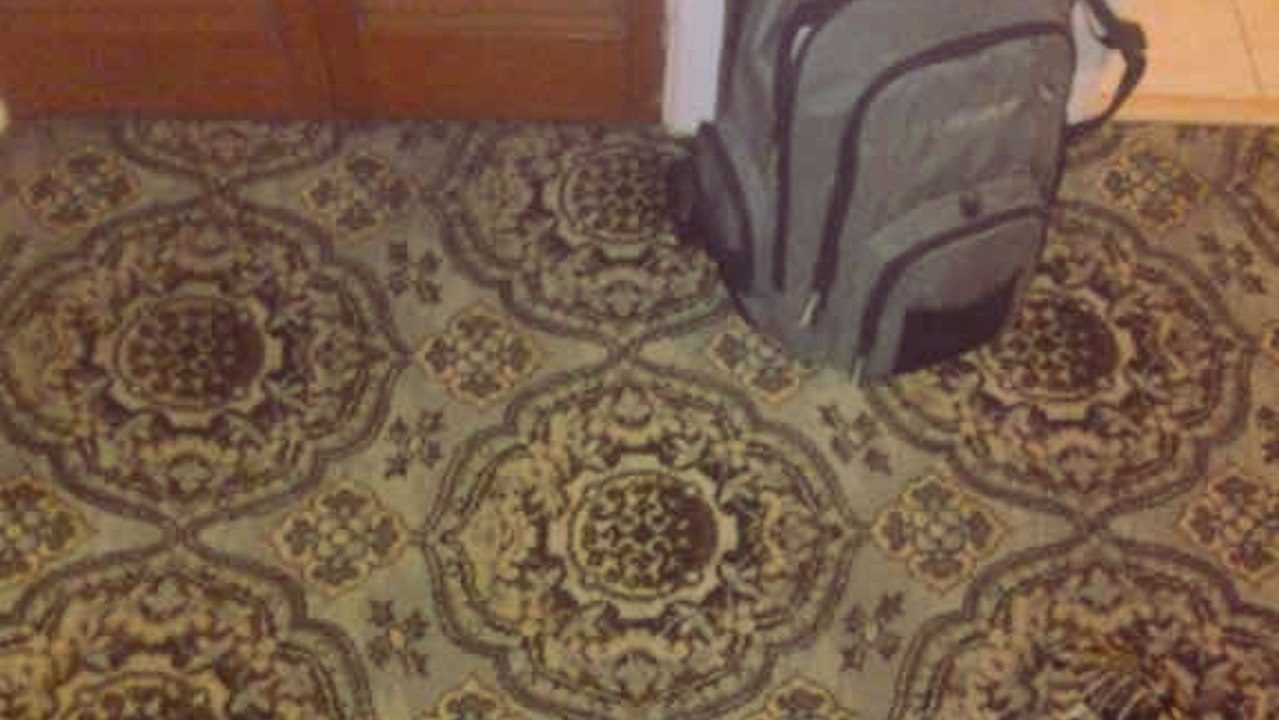 Dieses Bild macht derzeit die Internetbenutzer verrückt. Siehst du das Tier, das sich darauf versteckt?