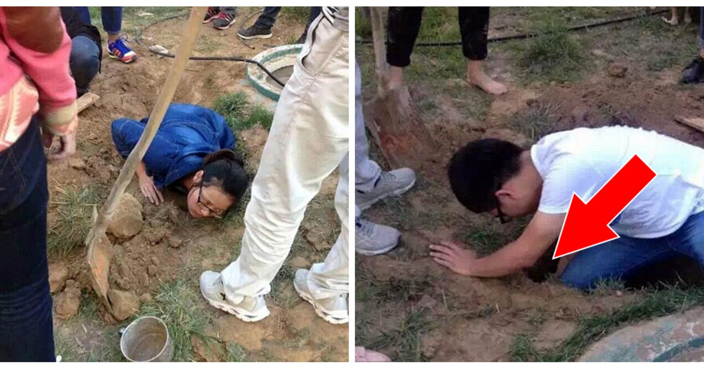 Chinesische Studenten retten eine lebendig begrabene Hunde-Familie!