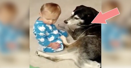 Was der Hund gleich mit dem einschlafenden Jungen macht, wird euch das Herz aufgehen lassen!
