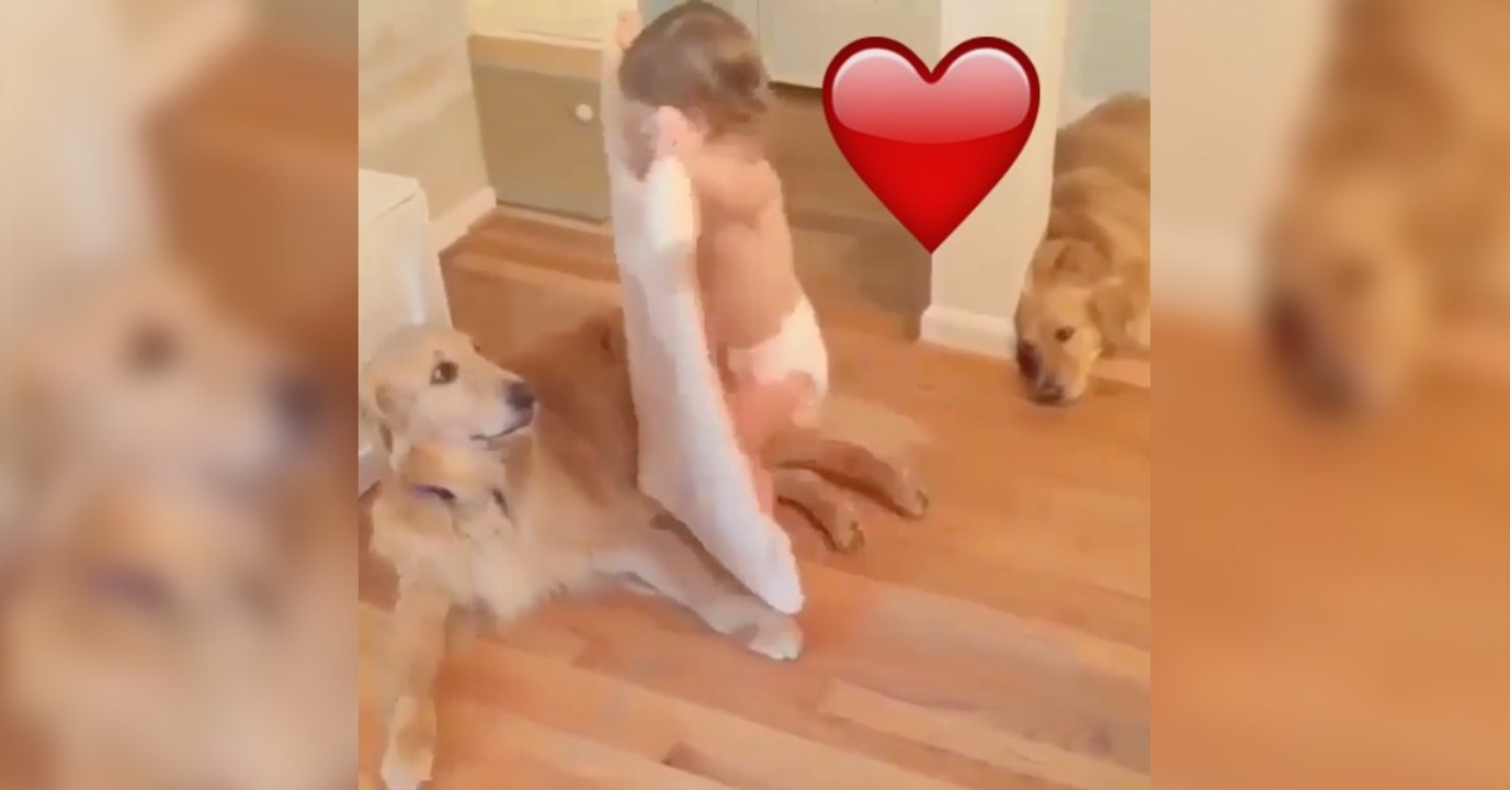 Was das Baby gleich mit dem Hund macht, lässt euch das Herz aufgehen!