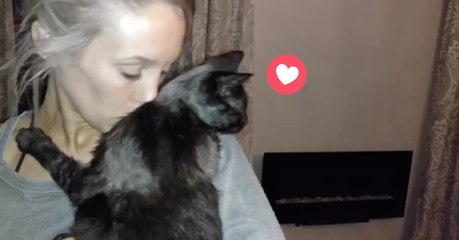 Katze fällt von Couch und lässt Frauchen dann nicht mehr aus der Umarmung los!