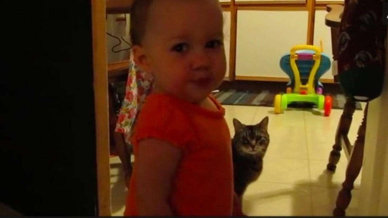 Dieses kleine Mädchen unterhält sich mit seiner Katze... ein herzallerliebster Dialog!