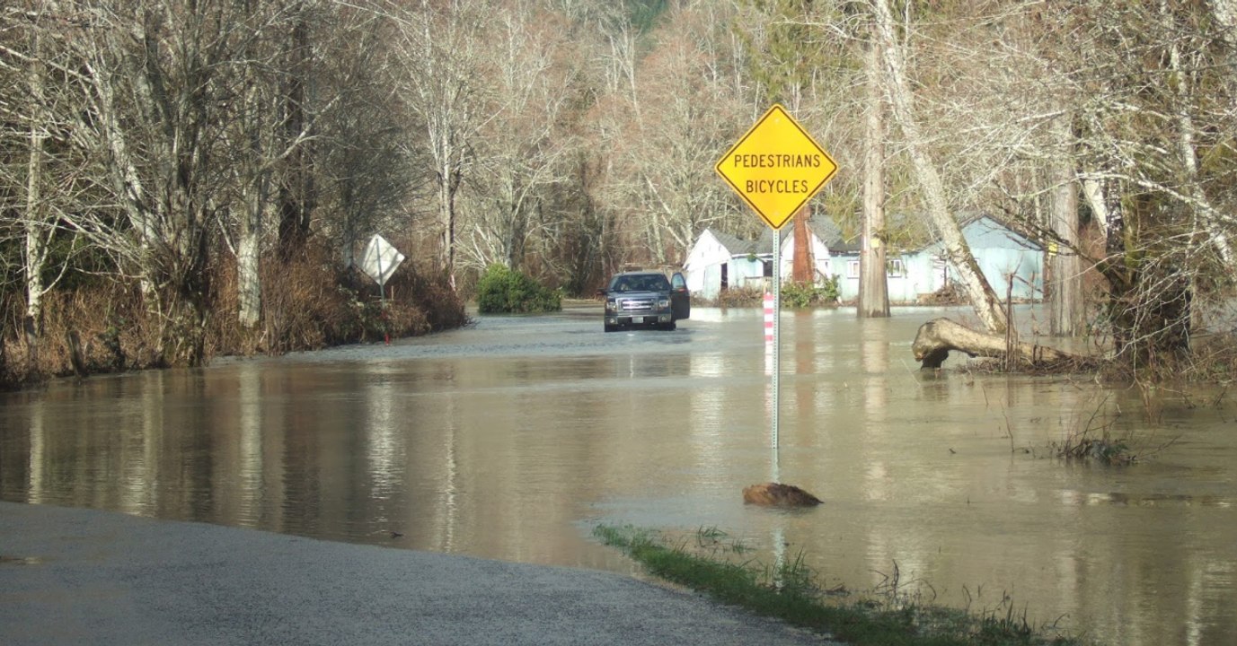 Die Autofahrer sind geschockt, als sie sehen, welche Tiere hier die Straße überqueren