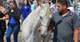 In Brasilien nimmt ein Pferd Abschied von seinem verstorbenen Besitzer bei dessen Beerdigung