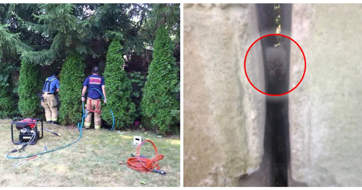 Feuerwehrleute retten ein zwischen zwei Felsblöcken eingeklemmtes Kätzchen