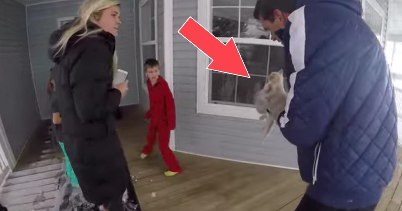 Sie gehen raus im Schnee spielen, doch was sie dort finden, ist der pure Wahnsinn!