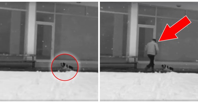 Von einer Überwachungskamera gefilmt: In der Türkei gab ein Mann seine Jacke einem frierenden Hund im Schnee!
