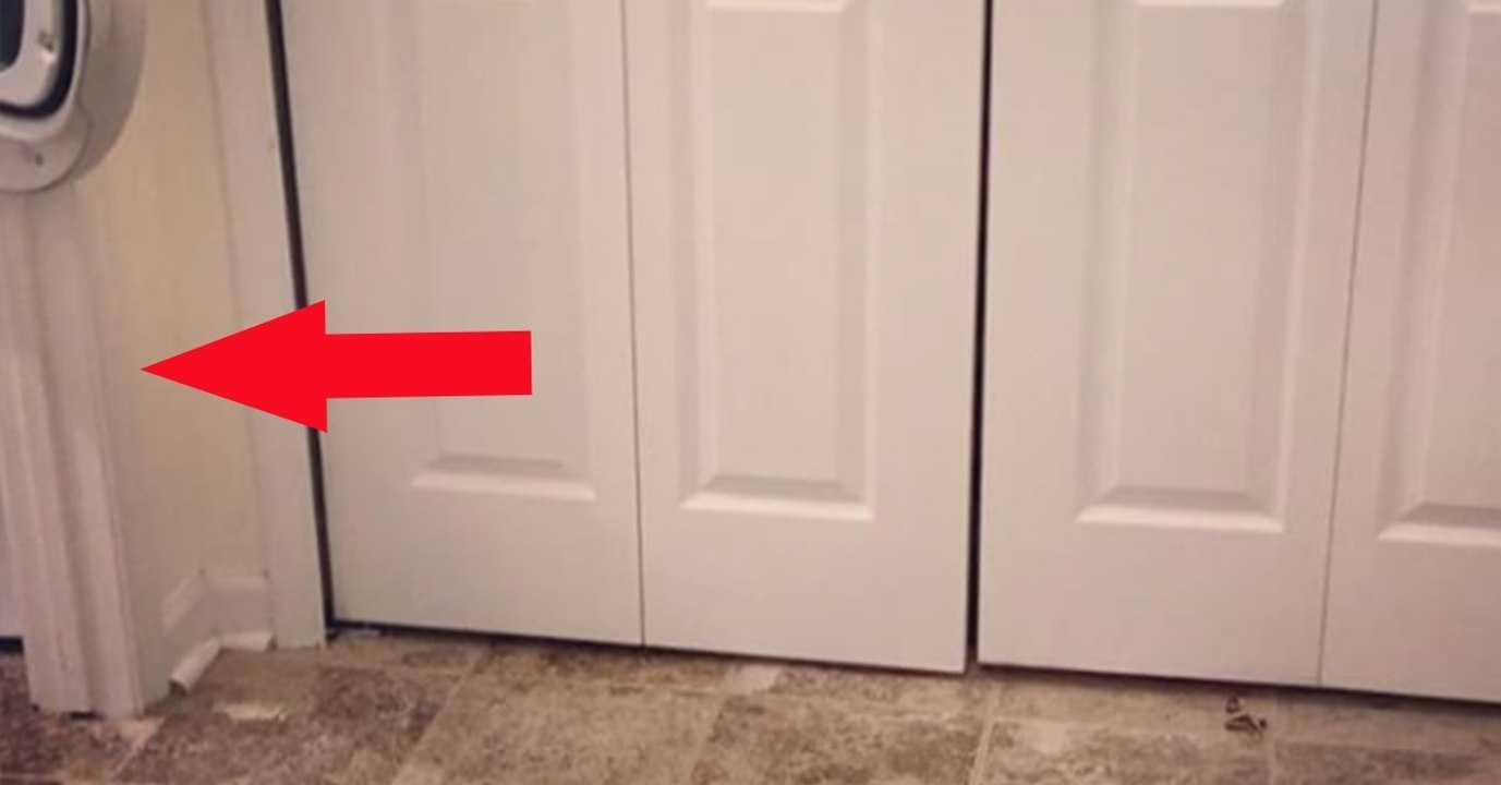 Sie sucht ihre Katzen. Wo die sich versteckt haben, ist einfach genial!