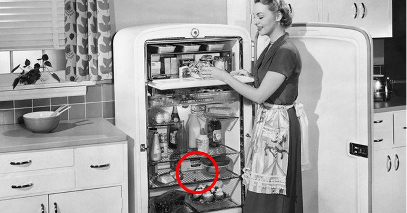 So wirst Du mit natürlichen Mitteln schlechte Gerüche im Kühlschrank los!