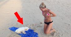 Ihr Hund möchte am Strand spielen, doch seine Idee bringt Frauchen in Bredouille! Was er macht, ist einfach witzig!