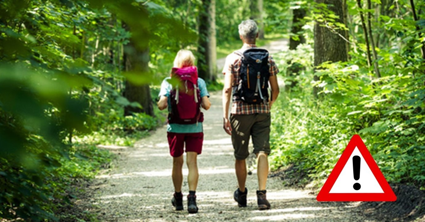 Seit 1. März 2017 darf man etwas Bestimmtes nicht mehr beim Waldspaziergang tun