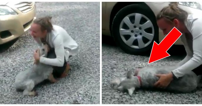 Herzergreifendes Wiedersehen von Hund und Frauchen nach zwei Jahren der Trennung