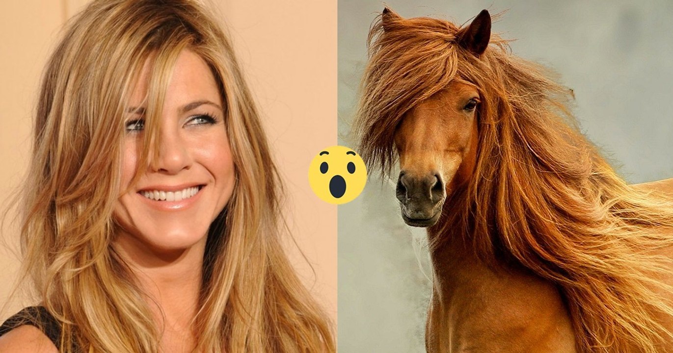 Das Pferdeshampoo Mane'n Tail findet auch unter Menschen viele Fans