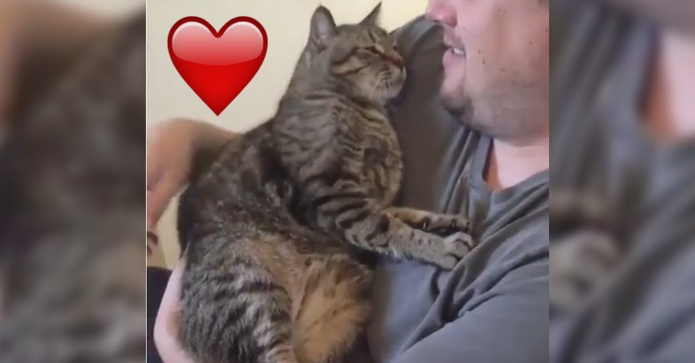 Purrpurr schmust am liebsten mit seinem Papa. Seht, was für ein goldiges Ritual die Beiden haben!