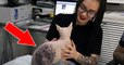 Ein russischer Tattoo-Künstler tätowiert viermal seine Sphinx-Katze... Jetzt wird er von Tierschutzorganisationen angeprangert