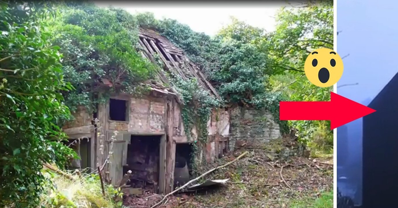 neuigkeiten,architektur,haus