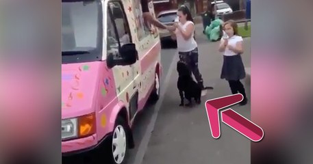 Die Kinder holen sich ein Eis. Doch was der Hund gleich macht, wird dir die Sprache verschlagen!