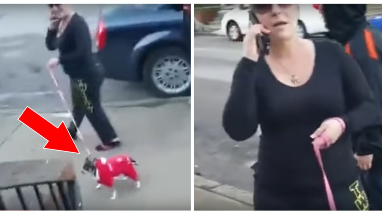 Dieser Mann zwingt eine Frau dazu, die Hinterlassenschaft ihres Hundes vor seiner Haustür mit blossen Händen zu entfernen!