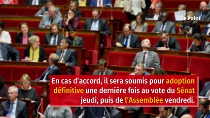 Pass vaccinal : le Sénat vote un texte sensiblement modifié