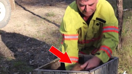 Eine Studentin filmt die tragische Situation, als ein Feuerwehrmann eine sonderbare Kiste mitten im Wald findet!