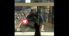 Wie diese Katze auf die Fensterputzer reagiert, ist einfach göttlich!