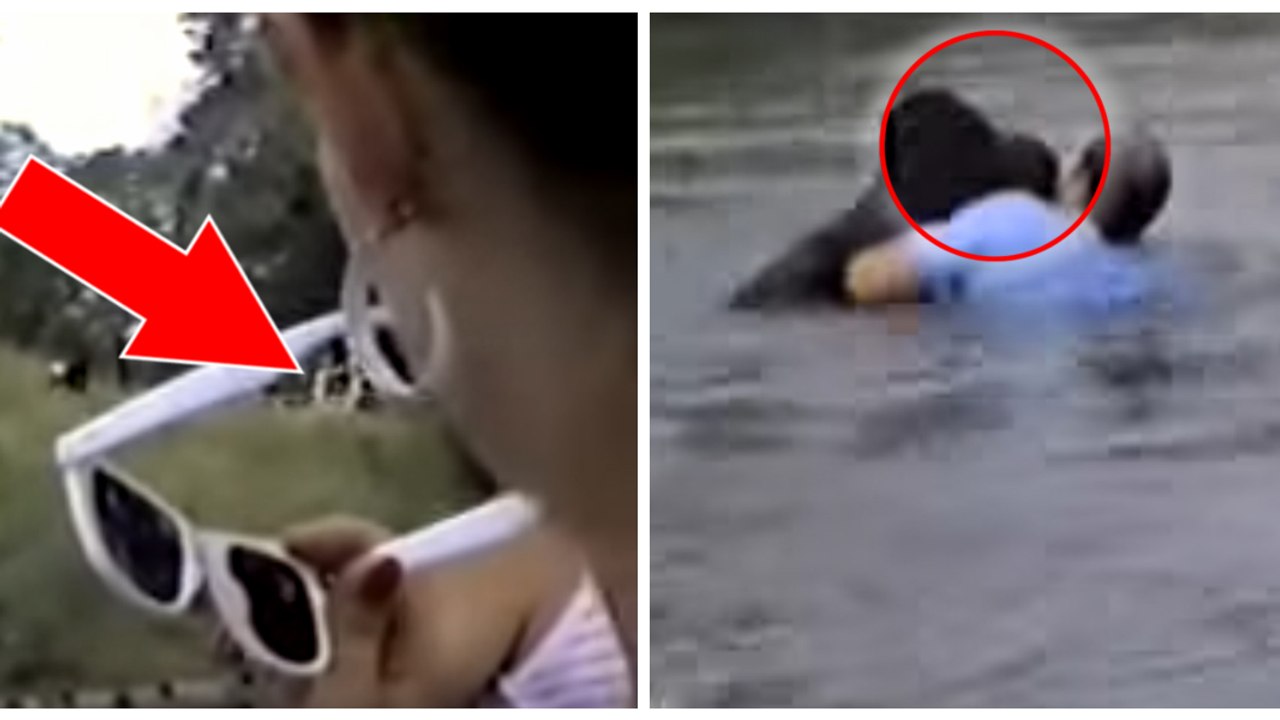 USA: Ein Mann springt in einem Zoo ins Wasser, um einen ertrinkenden Affen zu retten