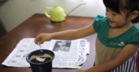 Sie legt die Zeitung in einen Blumentopf und kann nicht fassen, was daraus entsteht
