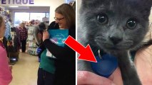 Sie kommt um das Kätzchen zu adoptieren. Als sie die Gravur auf dem Halsband sieht, bricht sie in Tränen aus!
