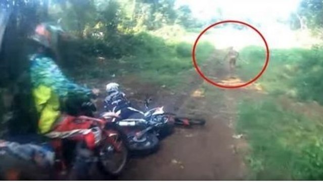 Sie gehen zum Motocross fahren in den Wald. Doch dann treffen sie DARAUF...