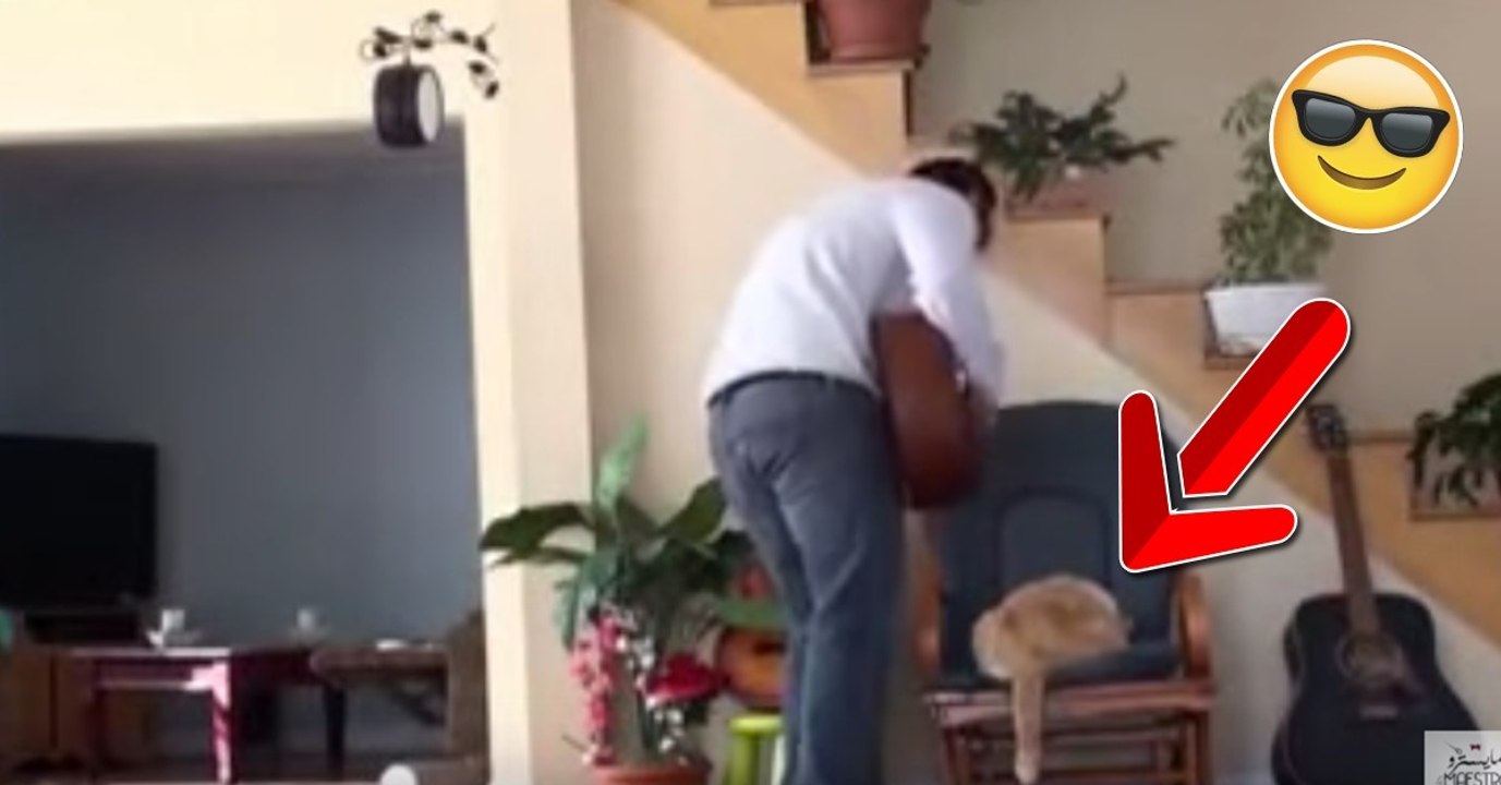 Er schmeißt die Katze fies vom Stuhl. Doch ihre Rache folgt prompt! Einfach genial!
