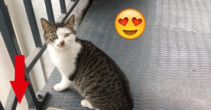 Heute morgen habe ich etwas UNGLAUBLICHES unter der Büro-Treppe gesehen!