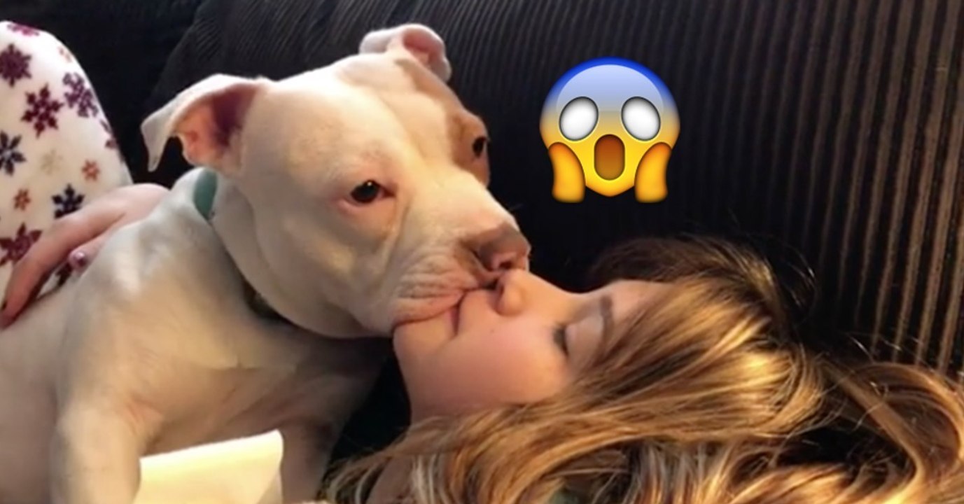 Frauchen kann fast nicht atmen vor lauter Liebe von ihrem Pitbull