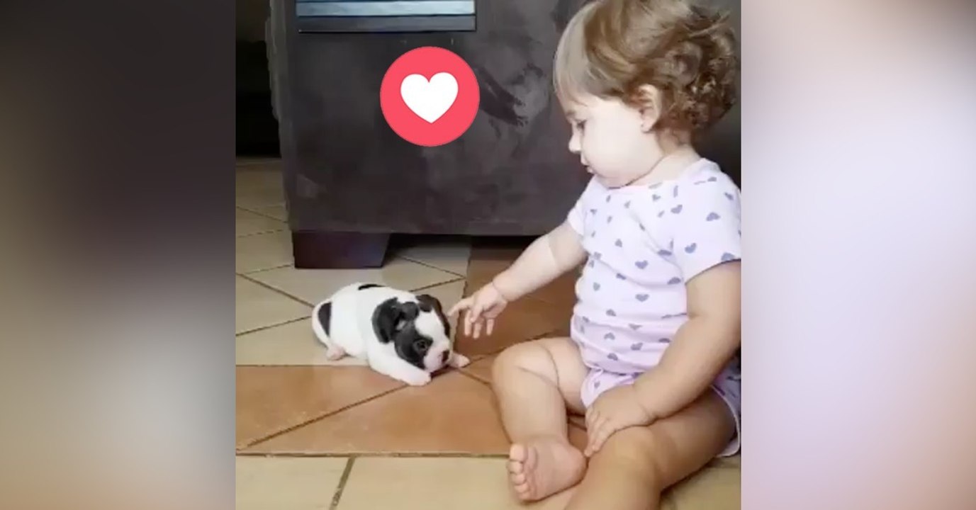 Die kleine Mia trifft zum ersten Mal ihren neuen Freund. Ihre Reaktion wird euch das Herz aufgehen lassen!