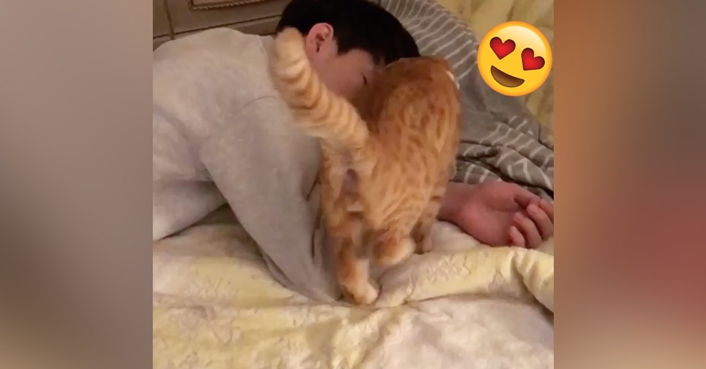 Wenn du siehst, wie sich dieses Fellknäuel an sein Herrchen kuschelt, wirst du vor Neid erblassen!